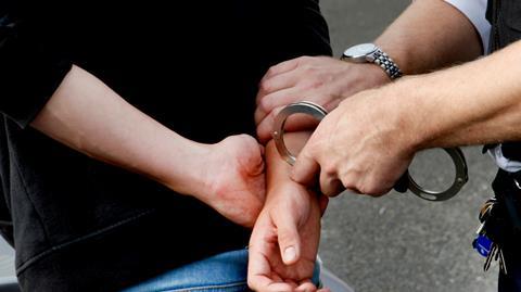 crime theft police arrest